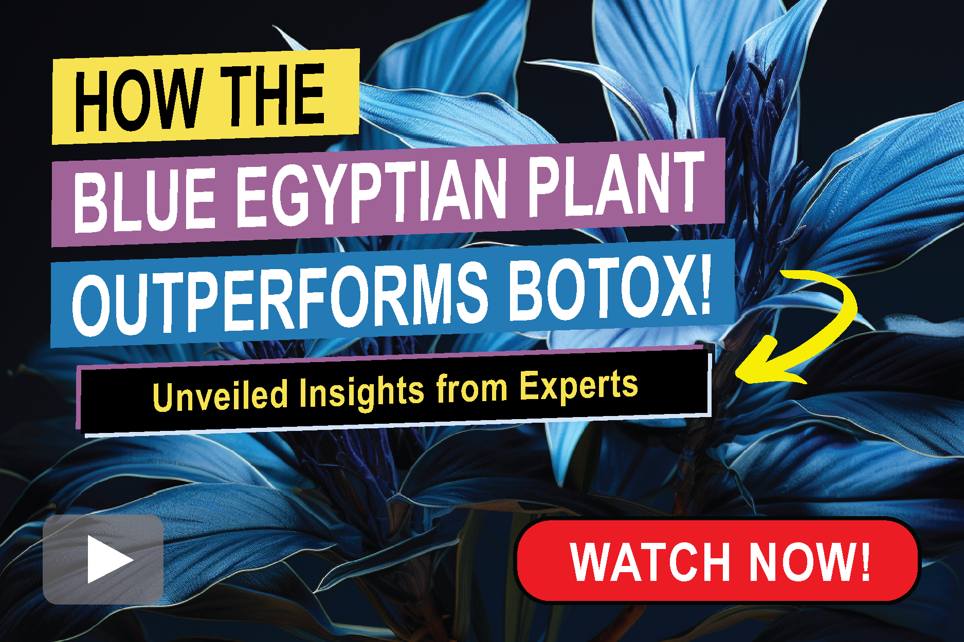 Blue Egyptian Plant Player